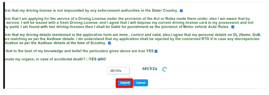 new licence driving